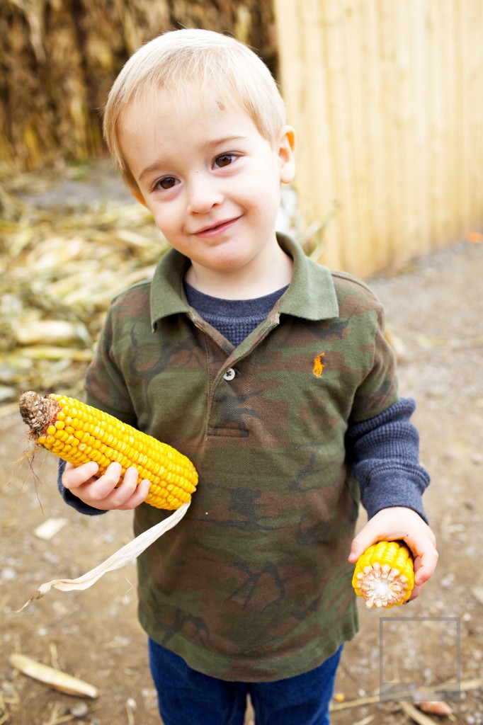 IMG_2910 IMG_2910