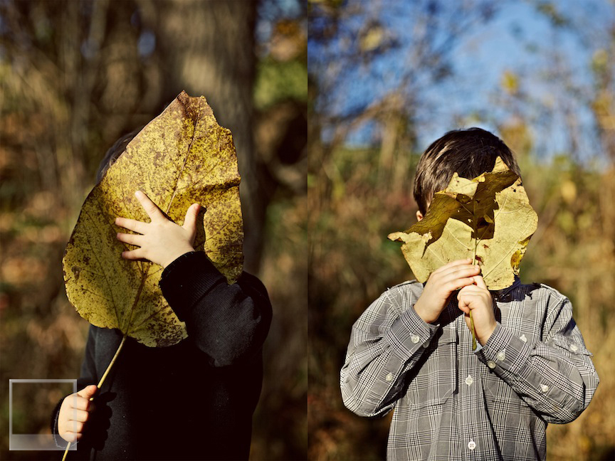 leaf face boy