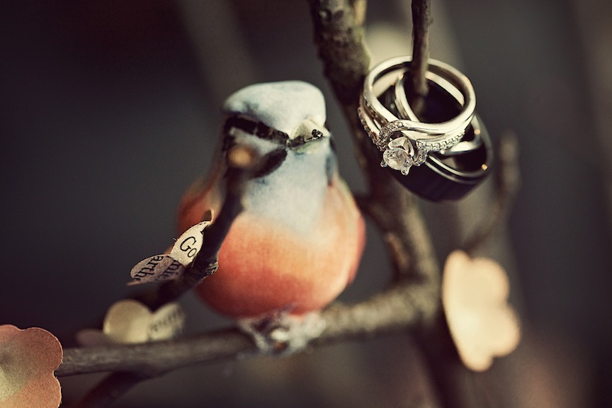 IMG_0100 hotmetalstudio pittsburgh weddings 2012-01-07