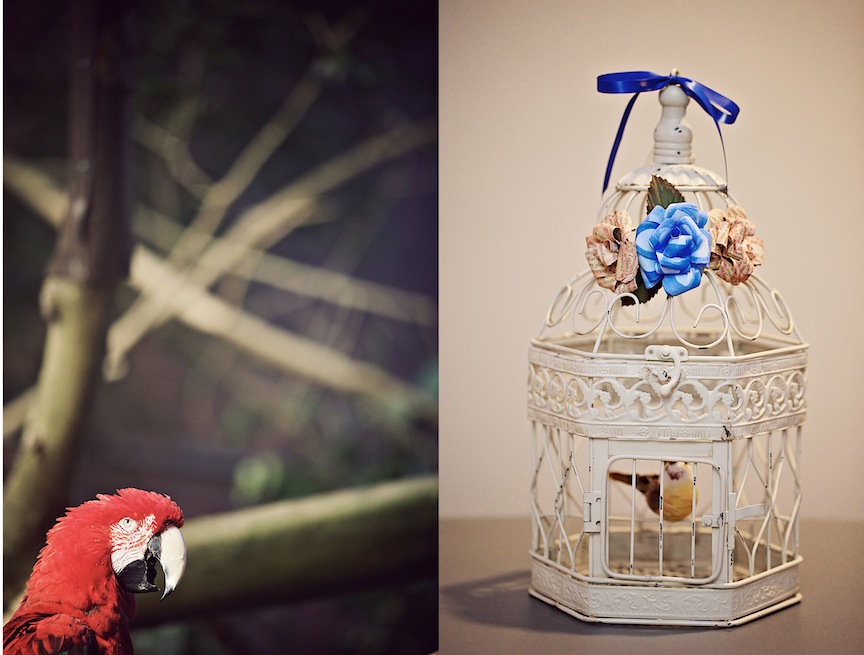 IMG_6661 hotmetalstudio pittsburgh weddings 2012-01-07