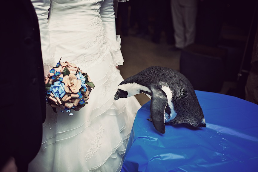IMG_7000 hotmetalstudio pittsburgh weddings 2012-01-07