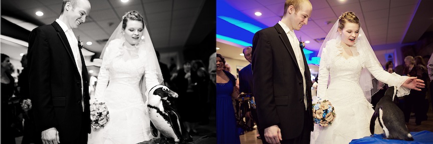 IMG_8427 hotmetalstudio pittsburgh weddings 2012-01-07