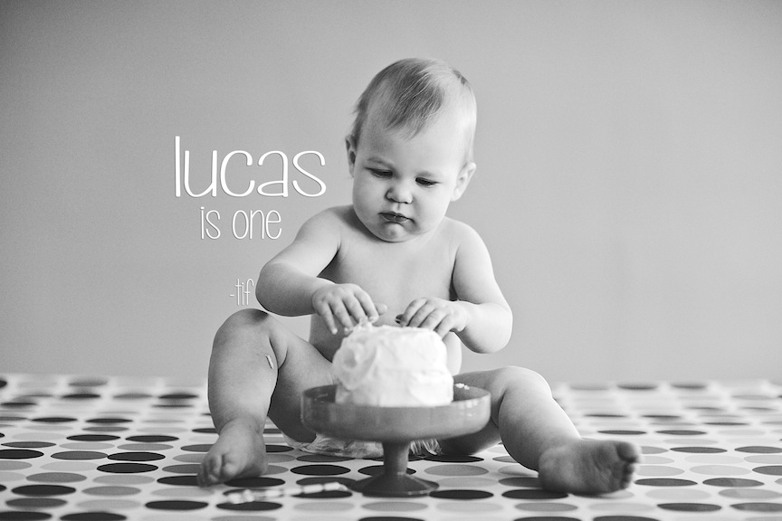 hotmetalstudio pittsburgh baby photography 274