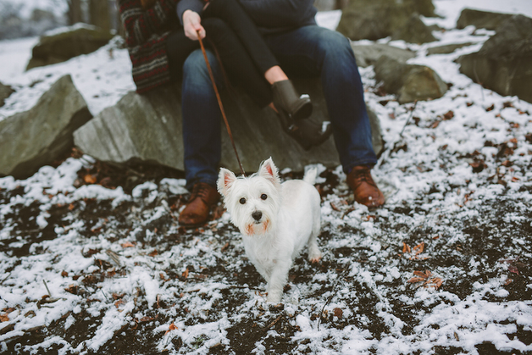 Hotmetalstudio, engagement photographer-133