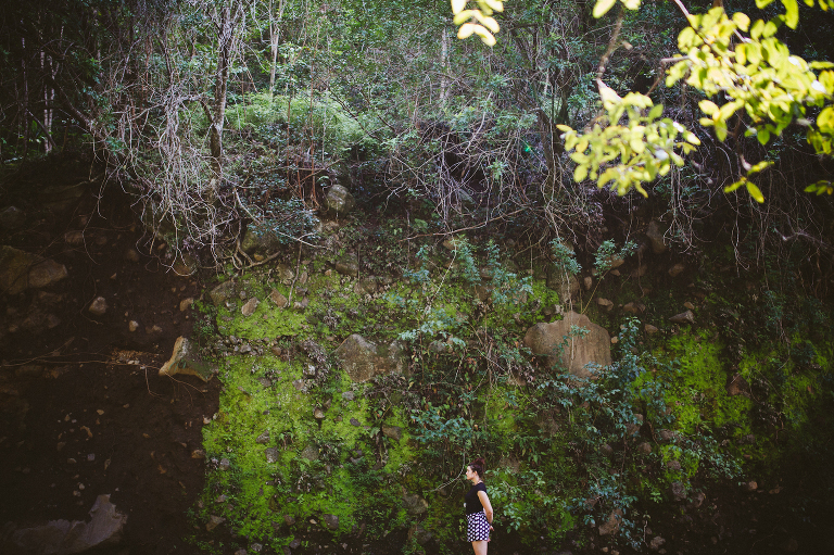 Rachel Rowland Photo-146